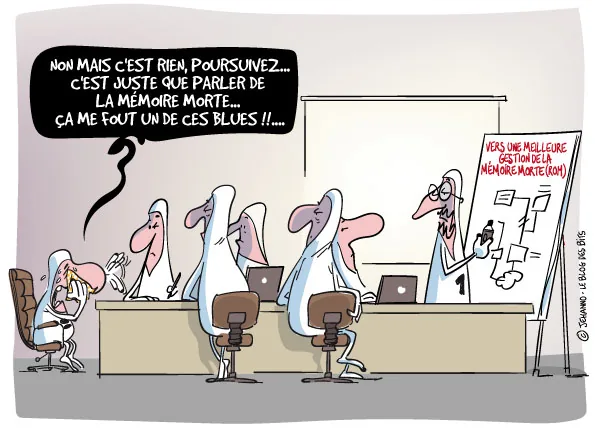 Une réunion de travail devant un paperboard intitulé vers une meilleure gestion de la mémoire morte, ROM. Un participant en larmes s'excuse : c'est rien, poursuivez, c'est juste que parler de la mémoire morte, ça me fout un de ces blues.