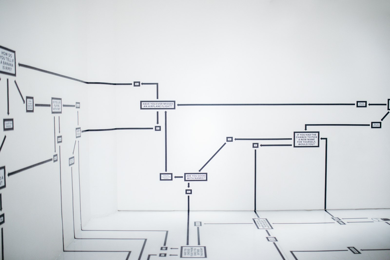 Un diagramme de flux imprimé se déploie sur les murs blancs et le sol d'une salle : des cadres contiennent des questions, reliés par des flèches noires portant les mentions oui ou non vers d'autres questions.