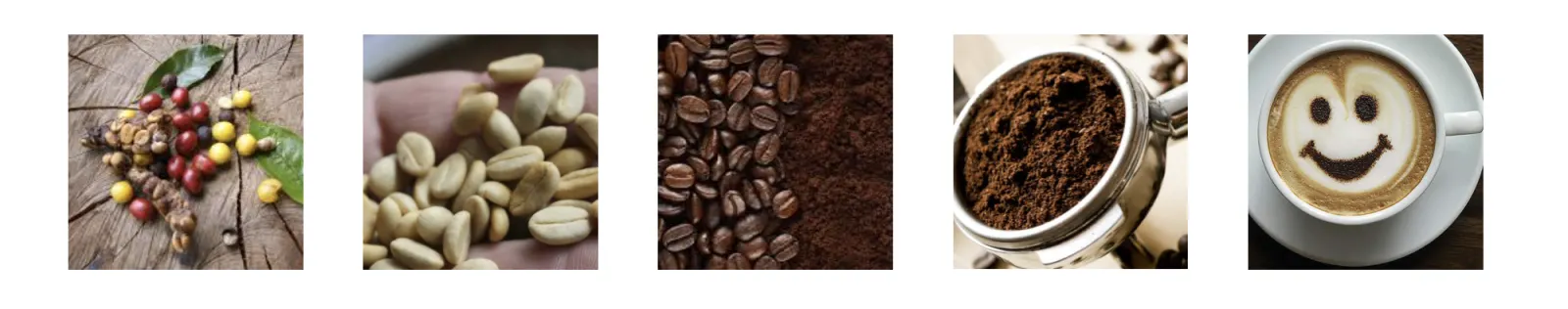 5 images d’illustrations montrant les étapes de production et de fabrication d’un café